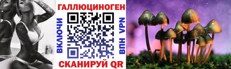 дарк нет официальный сайт  Онега  Галлюциногенные грибы GOLDEN TEACHER 