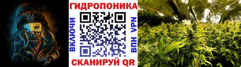 Канабис марихуана  дарнет шоп  Онега 